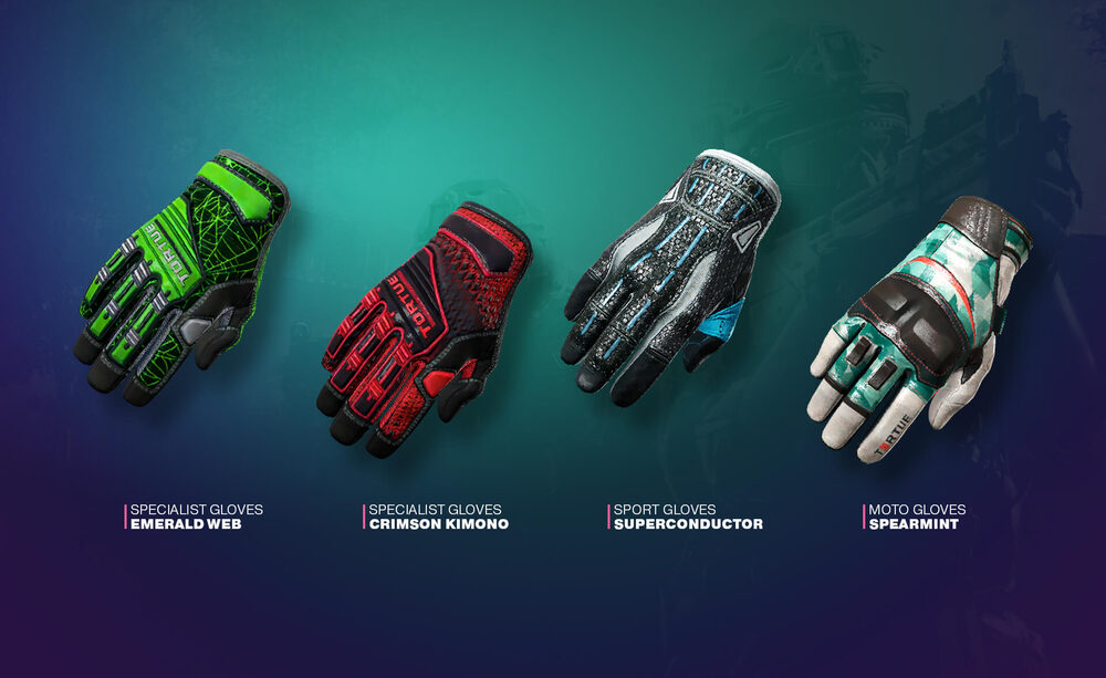 The Glove Case