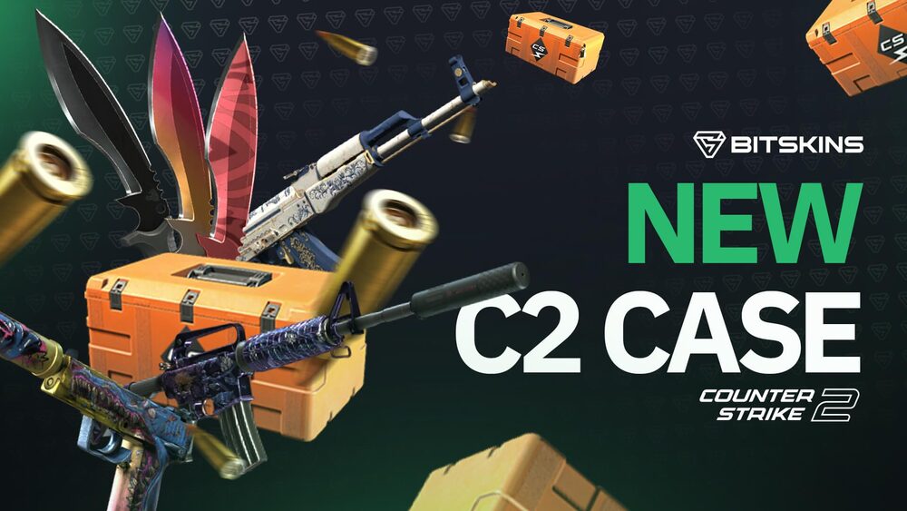 The Price Lifecycle of a New CS2 Case